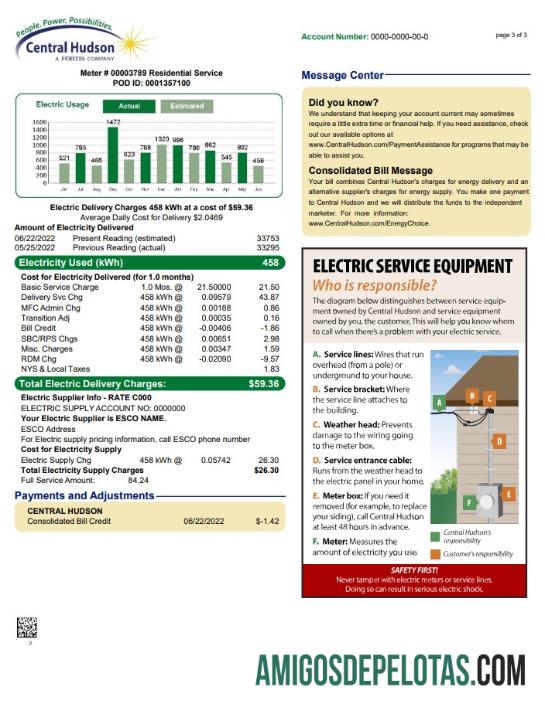 Em branco EUA Nova York Central Hudson A Fortis Company Conta de serviços públicos, modelo Word e PDF, 3 páginas 3